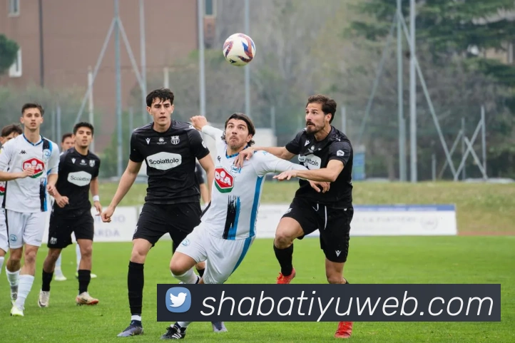 沙巴体育平台生态图