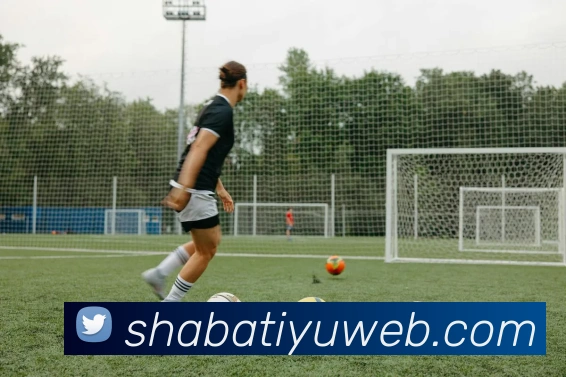 沙巴体育APP 封面图