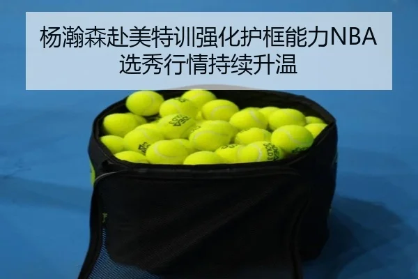 杨瀚森赴美特训强化护框能力NBA选秀行情持续升温（SabaSports）